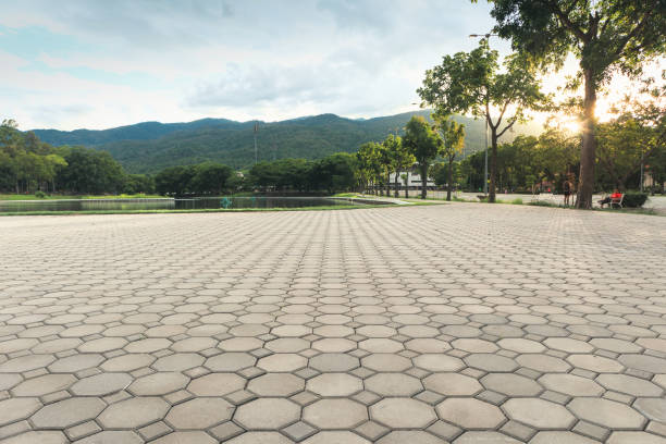 Best Local Driveway Pavers  in Toast, NC